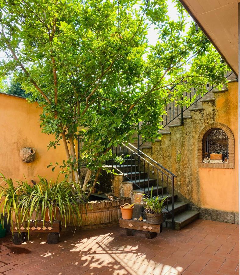 Villa Mariposa 内图诺 外观 照片