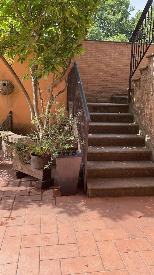 Villa Mariposa 内图诺 外观 照片